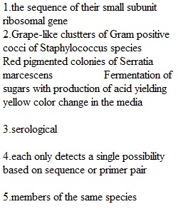 Quiz Chapter 13